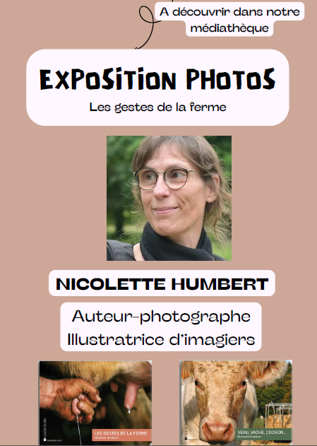 Capture décran 2026 06 03 104817